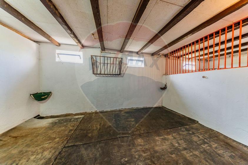 Ferma de cai andaluzi de vanzare - Zadareni - 5