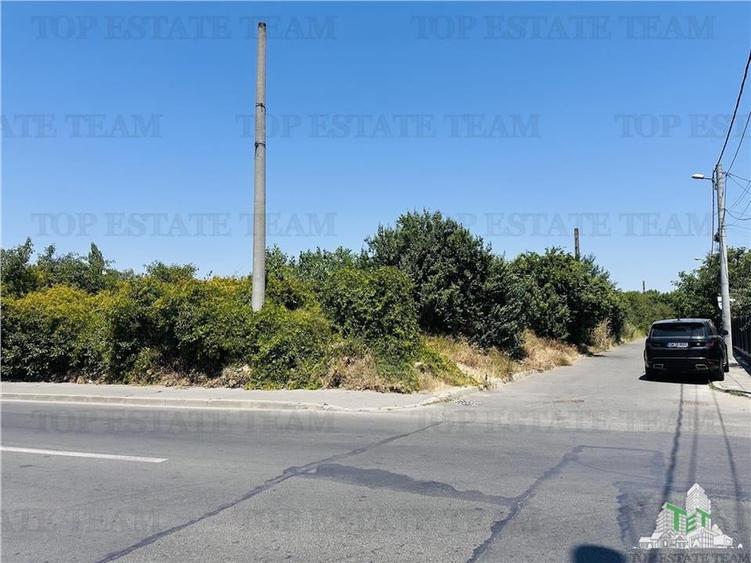 TEREN STRADAL GIULESTI, 50000 mp, la asfalt, intravilan, toate utilitatile, pent - 2