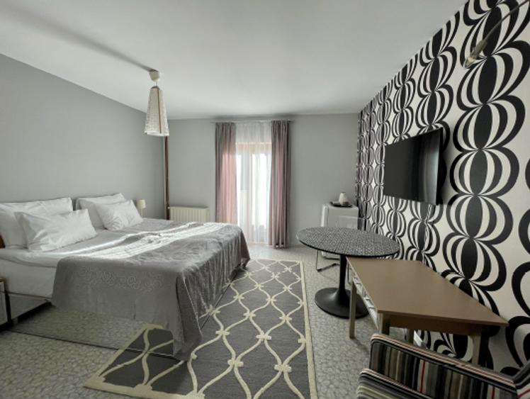 De vanzare Boutique Hotel Rocker's Inn, locatie functionala, zona Cheile Nerei - 10