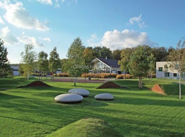 Teren de vis în Dumbrava Vlăsiei – 1290 mp, la marginea pădurii mature