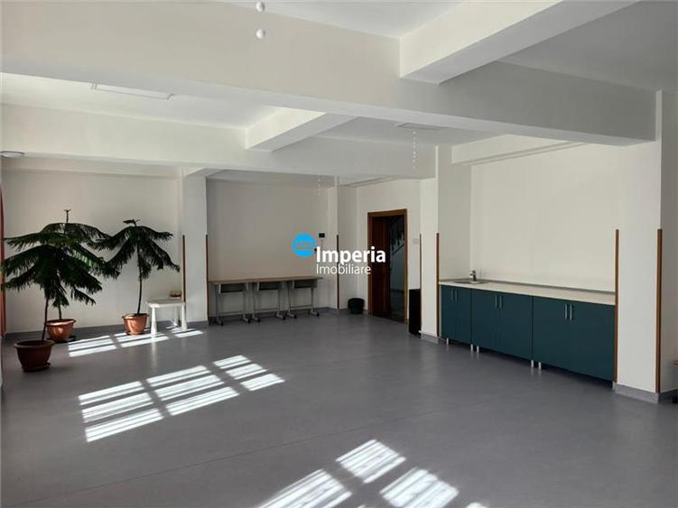 Birouri de inchiriat Copou Sararie - 3