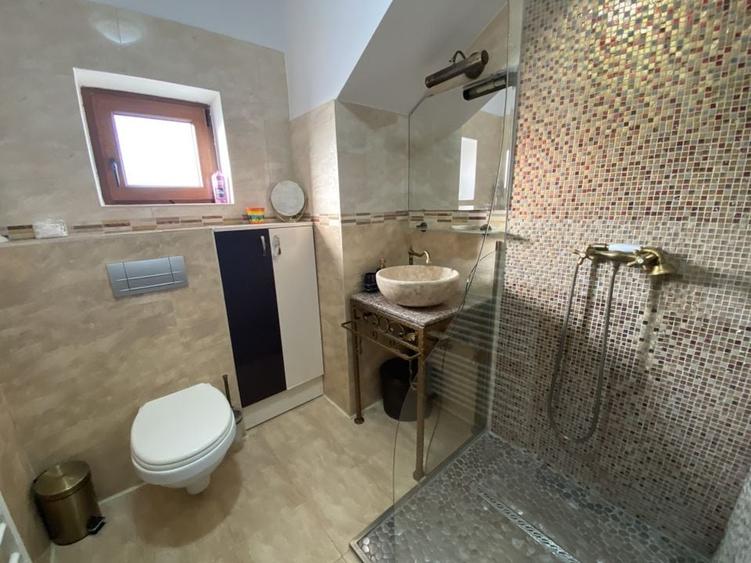 Cochet la intrare in Dumbravita - 10