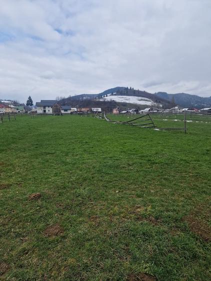 De vanzare teren intravilan 2466 mp Bucovina - Frumosu - 5