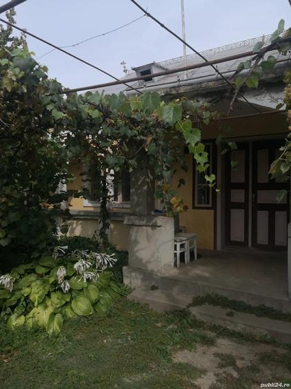 Vand casa batraneasca in Prajesti 77m2,plus 2 anexe gospodare?ti cu teren 4900m2 - 3