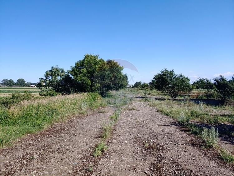 Spatiu industrial de 480mp+teren de 15069mp in Dornesti, Suceava - 18