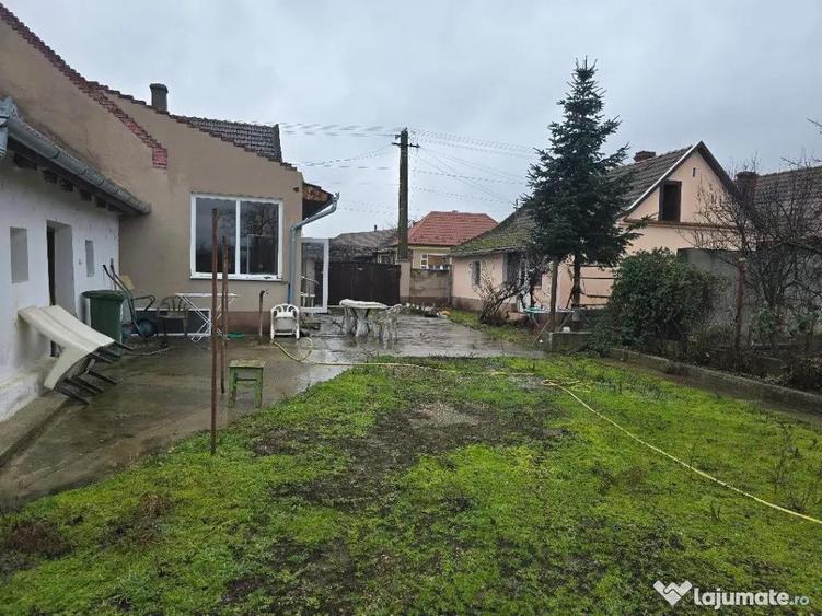 Casa plus anexa parter, Tamaseu central, gaz, sosea , ter 3040 mp - 7