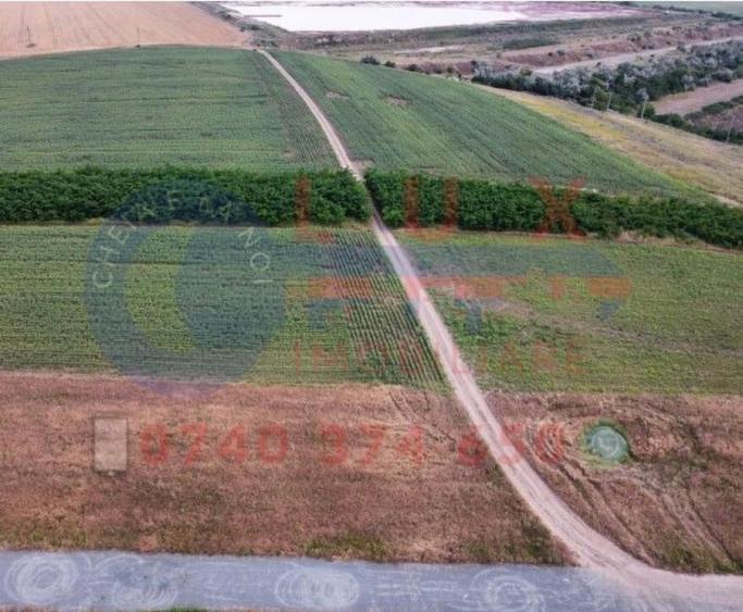 ID 7847 Teren INTRAVILAN pentru casa in Sat MINERI - 3