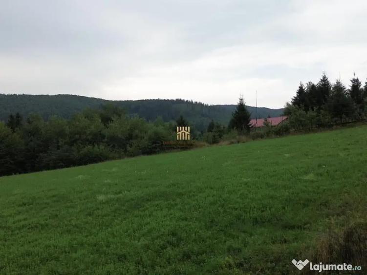 Teren 5023 mp In Bucovina Zona Manastirea Voronet De 07278 - 6