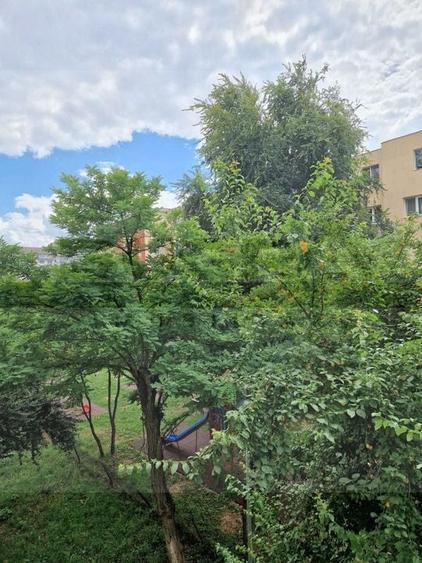 Apartament 2 camere, modern, zona C-tin Brancusi - 6