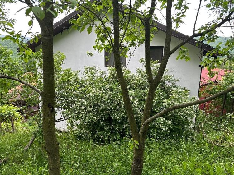 Casa vânzare comuna Bozioru munții Buzăului - 9