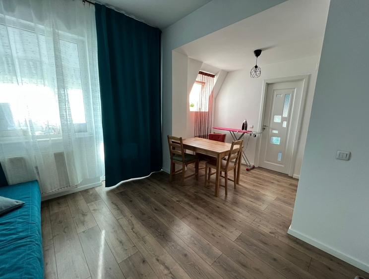 Cartier Brancusi ANL Coloana infinitului - 4