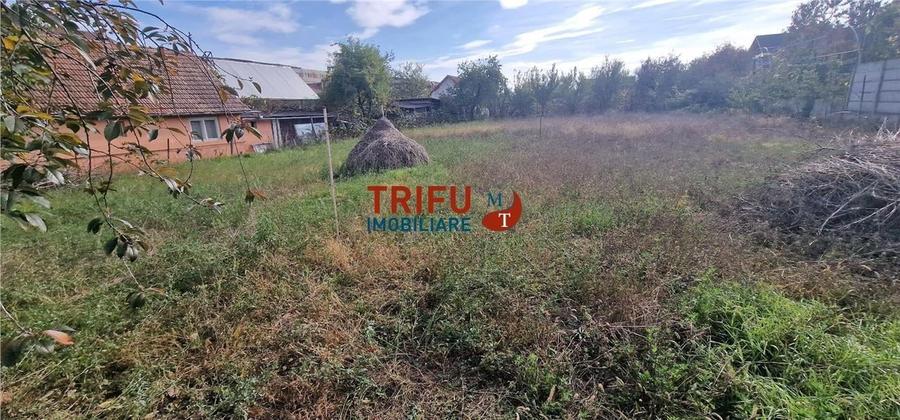 Casă de vânzare zona Cetate Schit 740 mp teren - 11