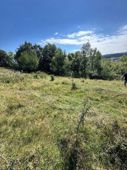 Teren 3.552 mp de vanzare (scrie pe whatsapp) Marginea, zona Dealu Fatului - 1