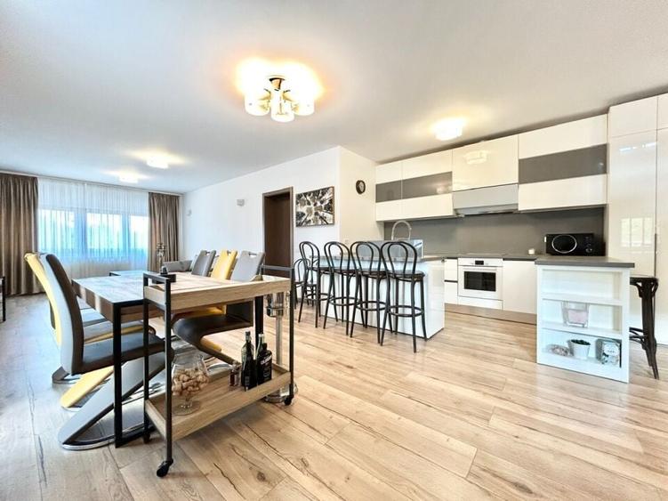 Penthouse with a generous terrace, with a superb view of Herastrau Park - 7