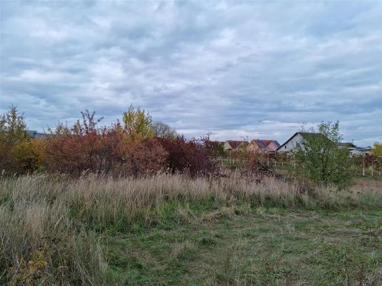 RECO teren intravilan 705 mp Osorhei - 7