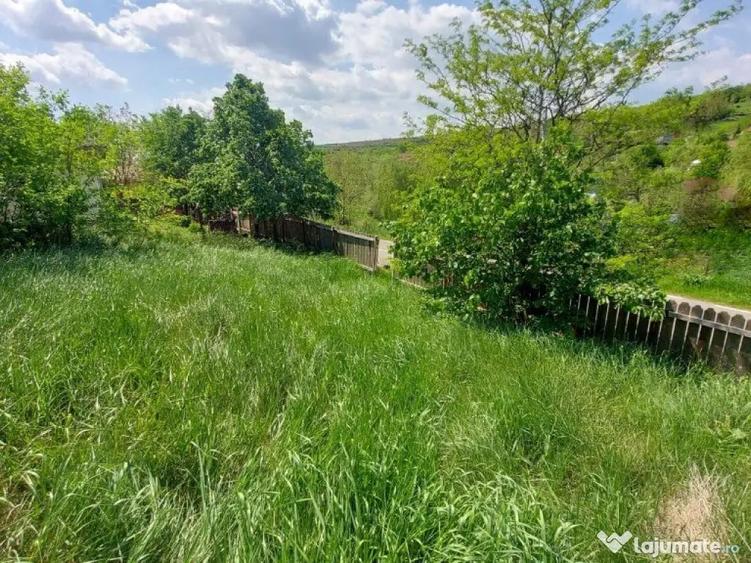 Teren intravilan 1490 MP Bratuleni Miroslava - 2