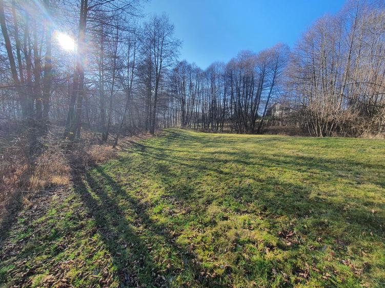 Teren rezidential zona Bran Predelut zona de case si pensiuni - 1