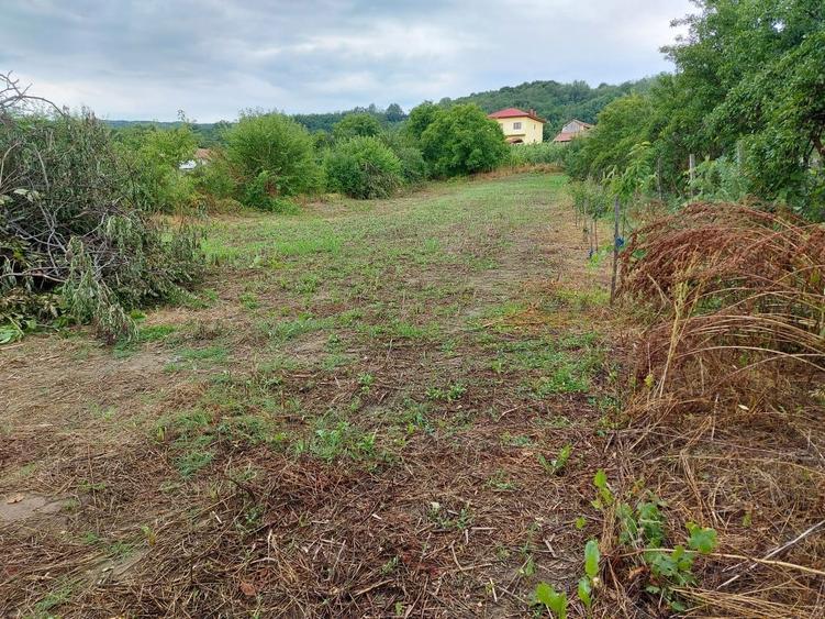 Casa 95mp cu teren 2280mp in Ionesti, Valcea,toate utilitatile - 5