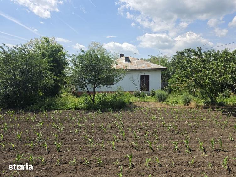 Vanzare casa Lehliu-Comuna Dor Marunt - 18