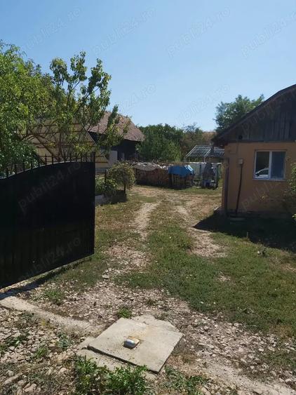 Vand casa Bagara (Aghiresu) - 9