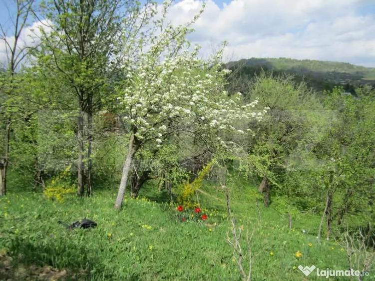 Teren de vanzare, 884 mp, zona Runcu - 6