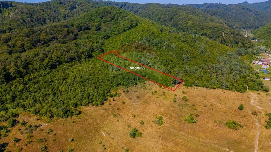 Teren 6,000mp Crizbav / Strada principala - 2