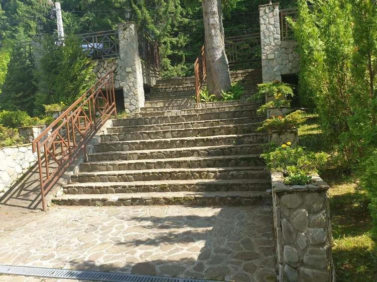 DE VANZARE- Hotel 3* (Predeal) - 6