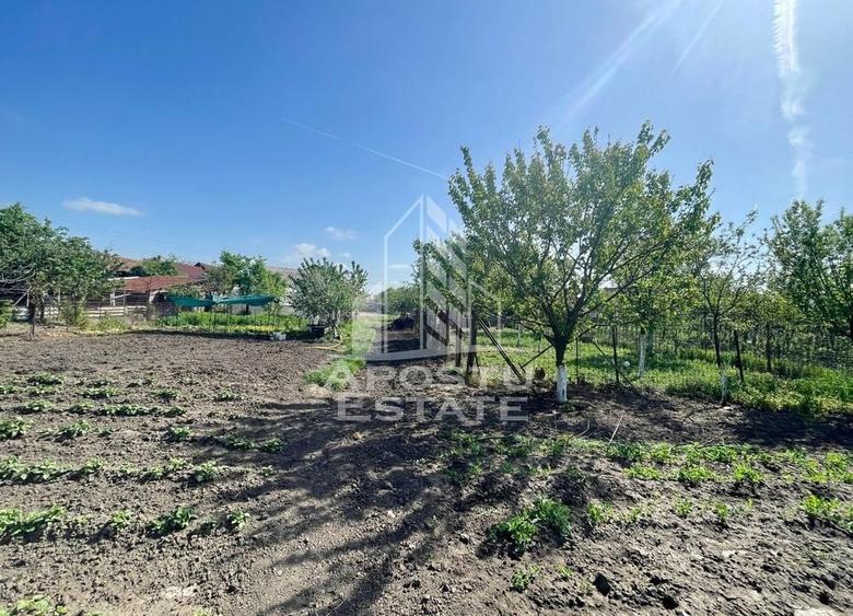 Casa individuala cu curte individuala si gradina - Zona Gai - 23