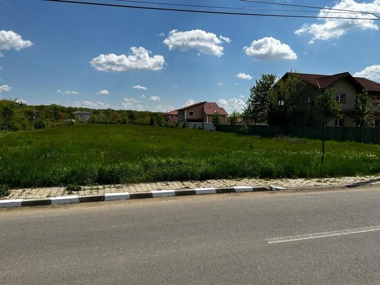 Teren Snagov - strada Zorelelor - parcelat, deschidere 31,7ml - 2