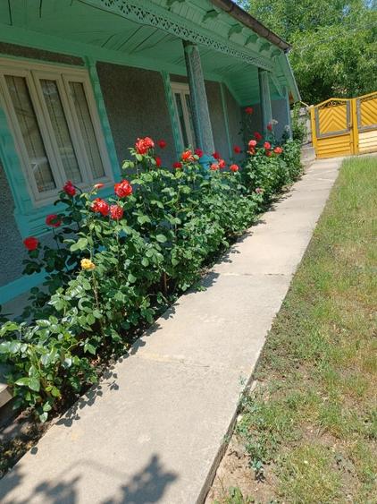 Vând casă comuna Cudalbi,județul Galați  - 2