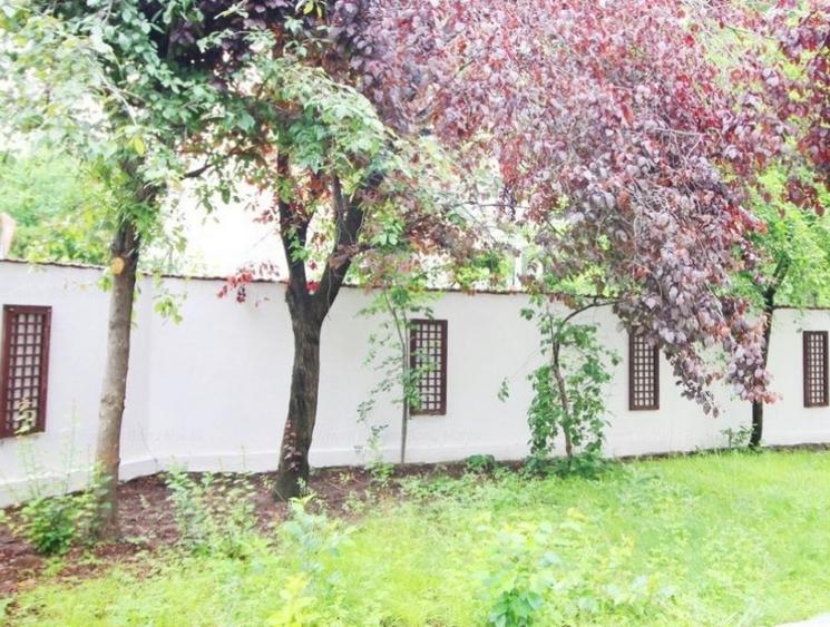 Vila Floreasca - curte compacta, garaj auto - 2