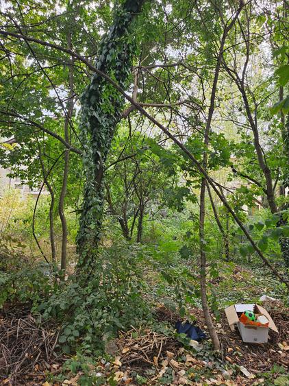 Titan Policlinica , Aleea Calistrat Hogas - 5