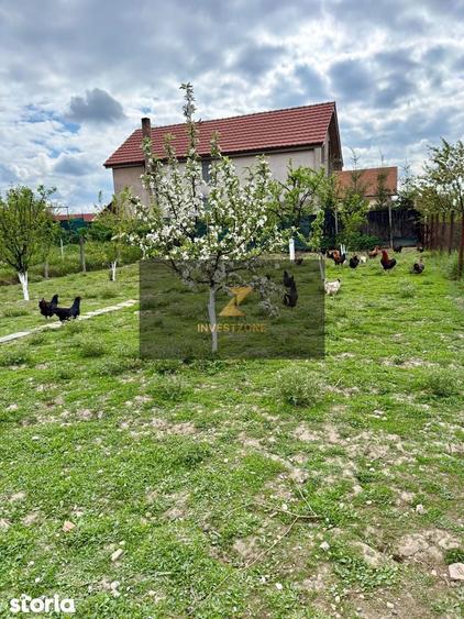 Casa + teren 757 mp Osorhei - 7