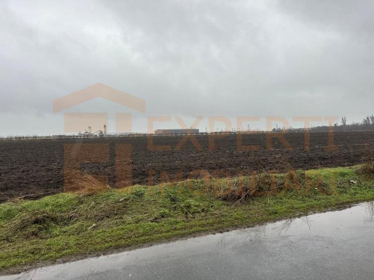 Teren situat in zona Lumina - 5