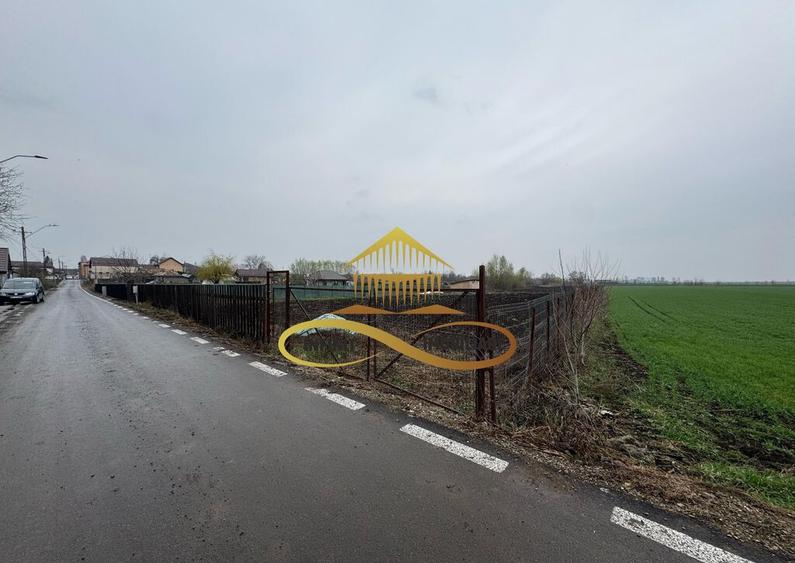 Teren de vanzare Filipesti Bacau 6838 mp - 15