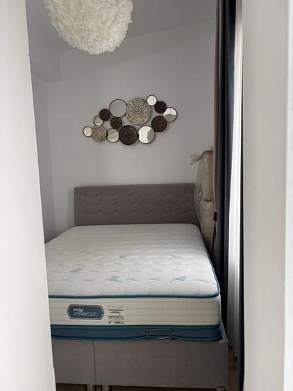 Inchiriere Vila Matei Millo - 8