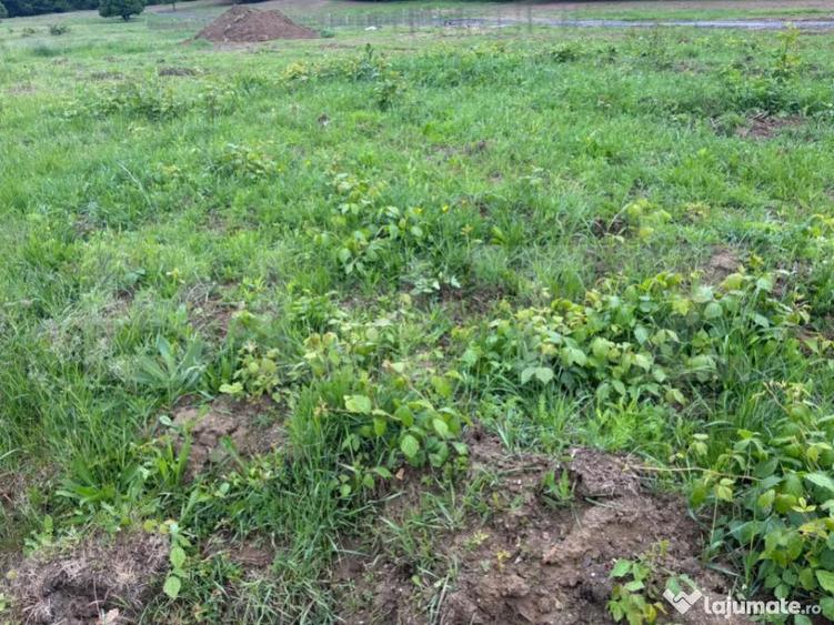 Teren de vanzare, zona linistita - 1