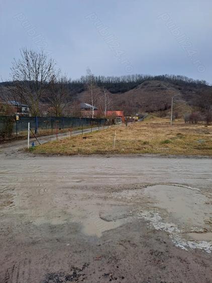 Vanzare teren intravilan pentru constructii in Sannicoara- Sub Coasta com. Apahida, - 5