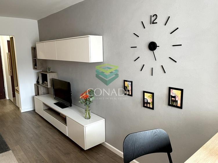 Garsoniera renovata modern str Nada Florilor - Teiul Domnei - 4