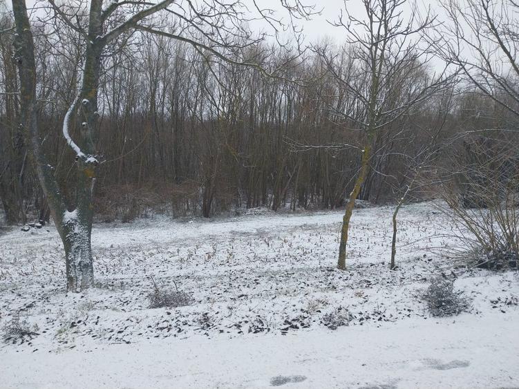 Vand lot de casa - 6