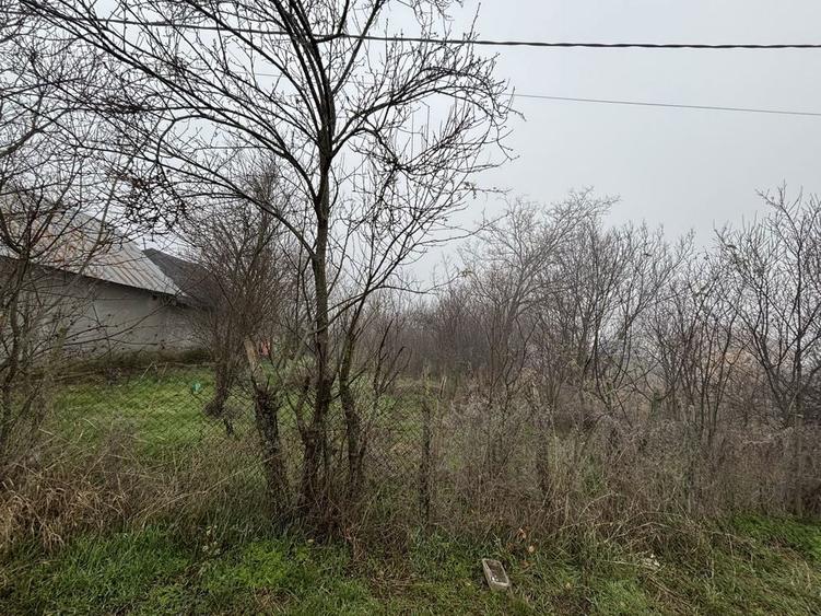 Teren vanzare + constructie / 2499 mp / electricitate+apa - 3