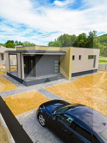 Case parter cu 4 camere in Budeasa – confort modern in mijlocul naturi - 1