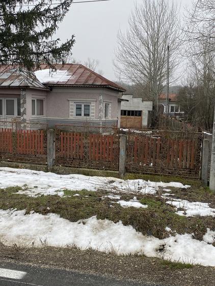 Gratia Teleorman - 3