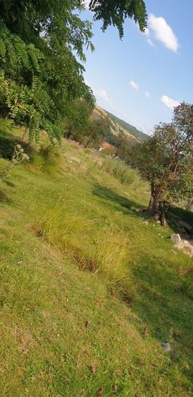 VAND/SCHIMB teren intravilan in com. Ezeris, Jud. Caras-Severin - 5