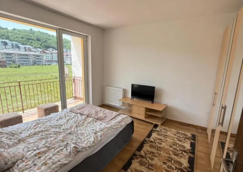 Apartament 1 camera decomandat Porii - 3