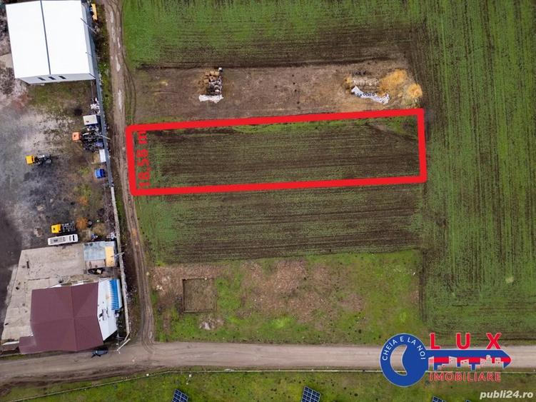 ID 7901 EXCLUSIVITATE - Teren intravilan in Cataloi - 6