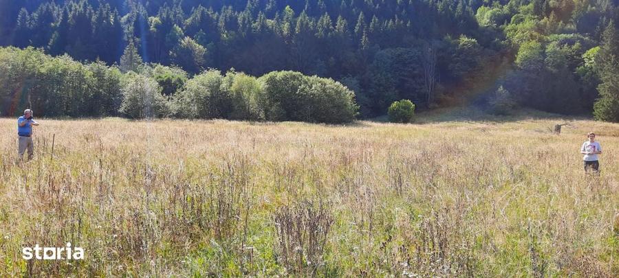 Teren Intravilan | Schitu Tarcau | 2089MP | Izvor | Platou - 12