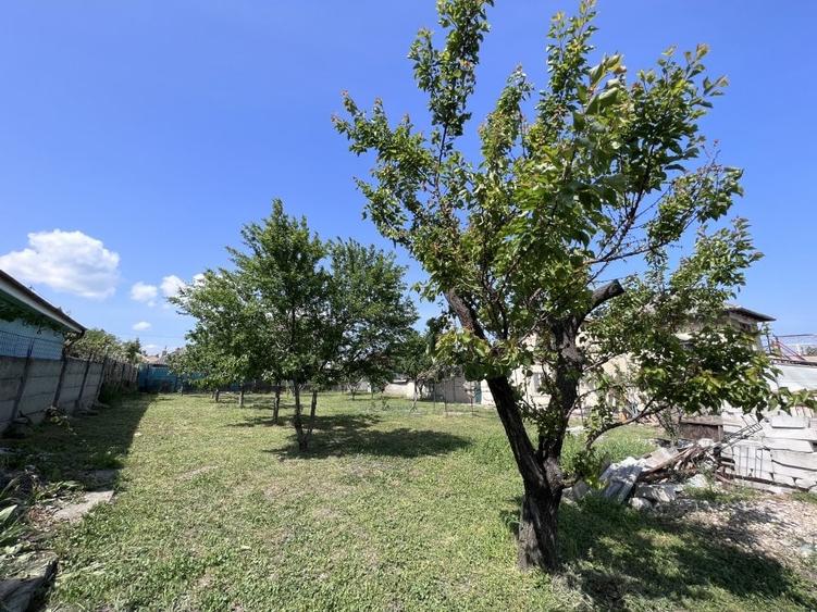 Teren 3500 mp Str Delfinului Foarte Aproape De Lacul Sutghiol - 39