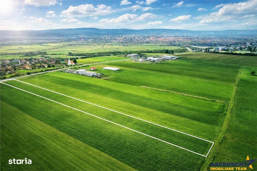 FILM! Teren intravilan 7.850 mp, Chilieni, Sfantu Gheorghe - 3