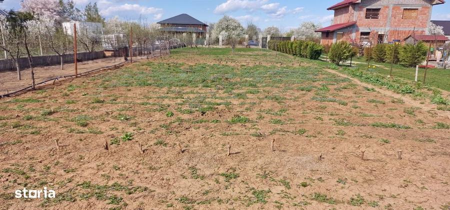 0%comision - Teren Tancabesti ingradit - 6